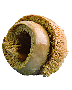 Devon Coffee Flavoured Ice Cream