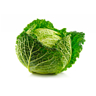 Fresh Cabbage Savoy