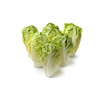 Fresh Lettuce Little Gem