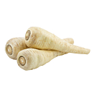 Fresh Parsnips