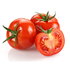 Fresh Tomatoes