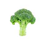 Fresh Broccoli