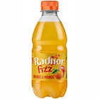 Radnor Fizz Orange & Mango
