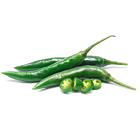 Fresh Green Chillis