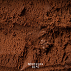 Northern Bloc Chocolate & Sea Salt Dairy Ice Cream