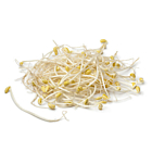 Fresh Beansprouts