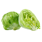 Fresh Lettuce Iceberg