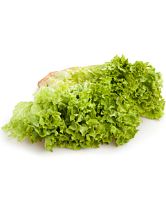 Fresh Lollo Blondi Lettuce