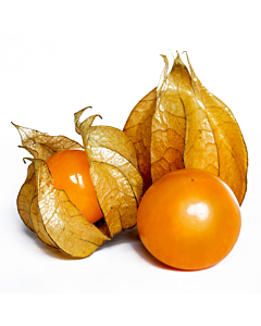 Fresh Physallis