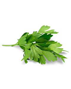 Fresh Flat Parsley