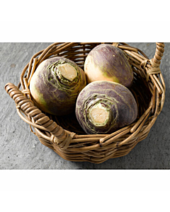 Fresh Swede