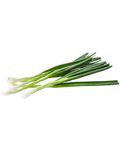 Fresh Spring Onions