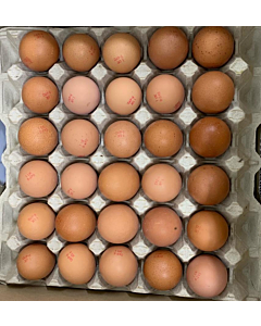 Ballygarvey Small Free Range Eggs
