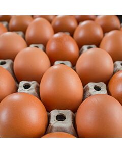 Medium Sized British Free Range Eggs