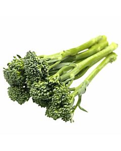 Fresh Sprouting Broccoli