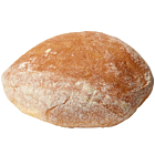 Speciality Breads Frozen Rustic Brioche Buns (Plant Based)
