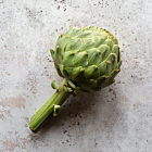 Fresh Artichoke Globe