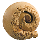 Devon Cream Toffee Flavour Ice Cream with Fudge Pieces