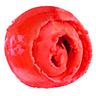 Devon Ice Cream Co Blood Orange Sorbet