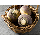 Fresh Swede
