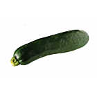 Fresh Courgettes