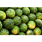 Fresh Watermelon