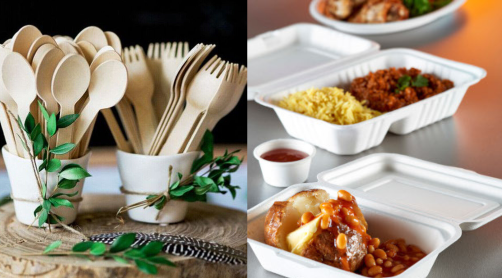 foodservice wooden cutlery and bagasse food containers